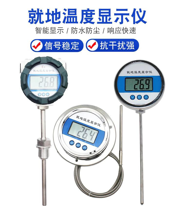 就地防爆温度显示仪